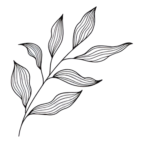 Decorative Leaf Background